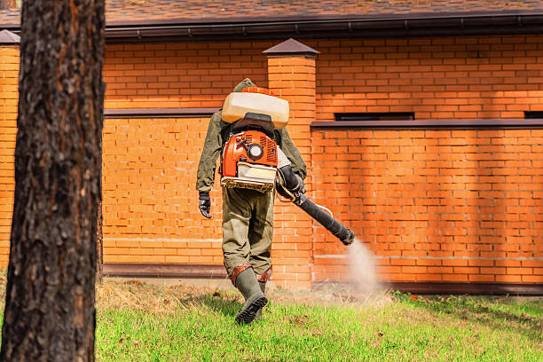 Trusted Bed Bug Control service in River Forest, IL - Nex Pest Control